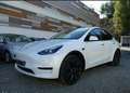 Tesla Model Y - thumbnail 1