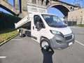 Peugeot Boxer benne basculante - thumbnail 6