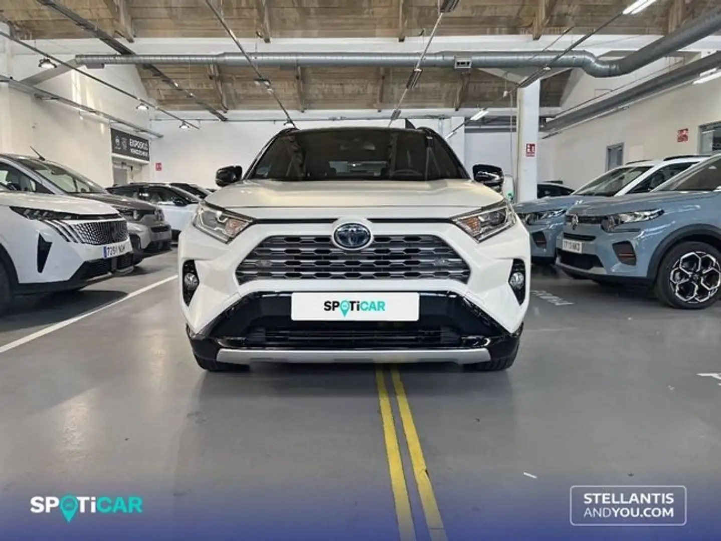 Toyota RAV4 2.5l 220H Style Blanco - 2