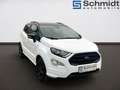 Ford EcoSport ST-Line 5-türig 1,0EcoBoost 125PS A6 F Bianco - thumbnail 6