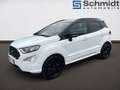 Ford EcoSport ST-Line 5-türig 1,0EcoBoost 125PS A6 F Bianco - thumbnail 2