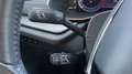 Skoda Octavia SKODA OCTAVIA 2.0 TDI EVO 115cV Grigio - thumbnail 20
