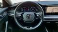 Skoda Octavia SKODA OCTAVIA 2.0 TDI EVO 115cV Grigio - thumbnail 19