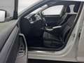 Skoda Superb Combi 2.0 TDI DSG Ambition ACC Virt.Cockpit Navi K Bianco - thumbnail 10