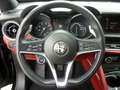Alfa Romeo Stelvio 2.0 Turbo 280 CV AT8 Q4 ATX AWD B-TECH Nero - thumbnail 6
