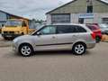 Skoda Fabia Combi 1.2 TDI Greenline Clima Bj:2011 NAP! Bej - thumbnail 8