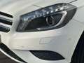 Mercedes-Benz A 180 Ambition, Panorama dak, Sport stoelen, Xenon verli Wit - thumbnail 24