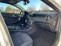 Mercedes-Benz A 180 Ambition, Panorama dak, Sport stoelen, Xenon verli Wit - thumbnail 34