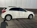 Mercedes-Benz A 180 Ambition, Panorama dak, Sport stoelen, Xenon verli Wit - thumbnail 30