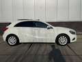 Mercedes-Benz A 180 Ambition, Panorama dak, Sport stoelen, Xenon verli Wit - thumbnail 14
