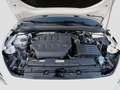 SEAT Leon Sportstourer 2.0 TSI DSG VZ 19'Navi LED Kessy Weiß - thumbnail 7