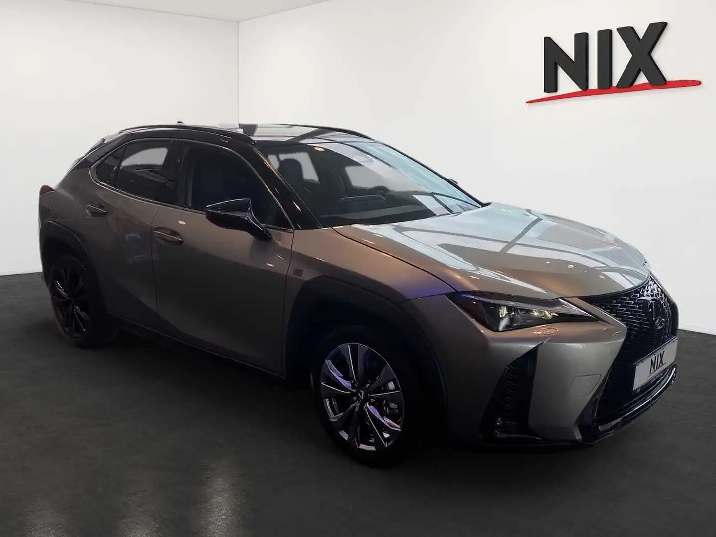 Lexus UX 300h 2.0 Hybrid F-Sport Design LED SHZ Plateado - 2