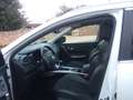 Renault Kadjar 1.5 dci Intens 110cv EDC Blanc - thumbnail 9