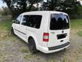 Volkswagen Caddy Maxi Life Weiß - thumbnail 5