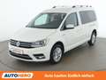 Volkswagen Caddy 2.0 TDI Maxi Highline 4Motion BlueMotion Weiß - thumbnail 1