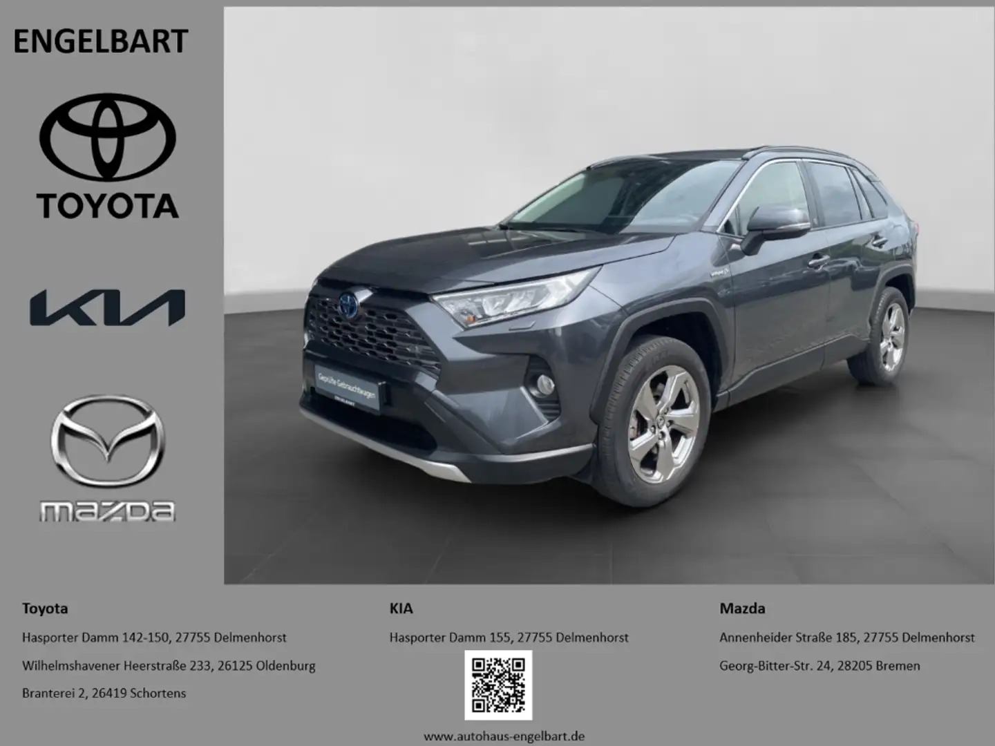 Toyota RAV 4 2.5 Hybrid Team Deutschland AHK Gris - 1
