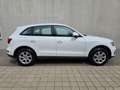 Audi Q5 2.0 TDI *Quattro *LED *SHZ *PDC *LEDER *NAVI Weiß - thumbnail 4