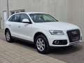 Audi Q5 2.0 TDI *Quattro *LED *SHZ *PDC *LEDER *NAVI Weiß - thumbnail 3