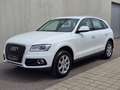 Audi Q5 2.0 TDI *Quattro *LED *SHZ *PDC *LEDER *NAVI Weiß - thumbnail 9