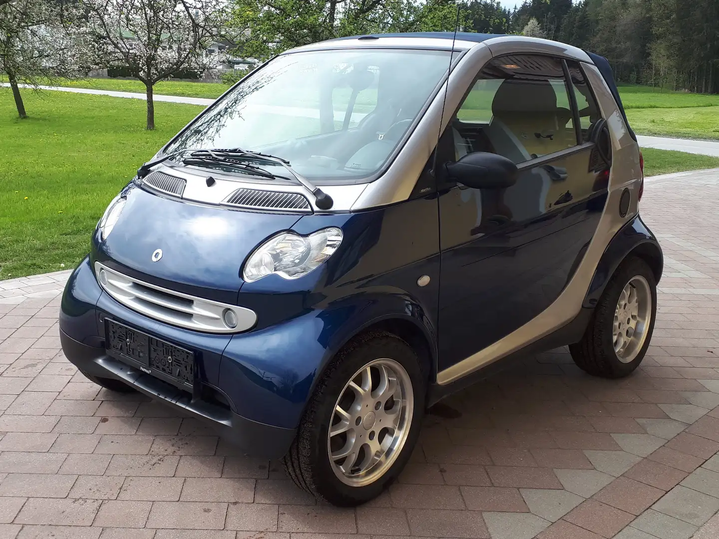 smart city-coupé/city-cabrio smart edition starblue Softouch edition starblue Albastru - 1
