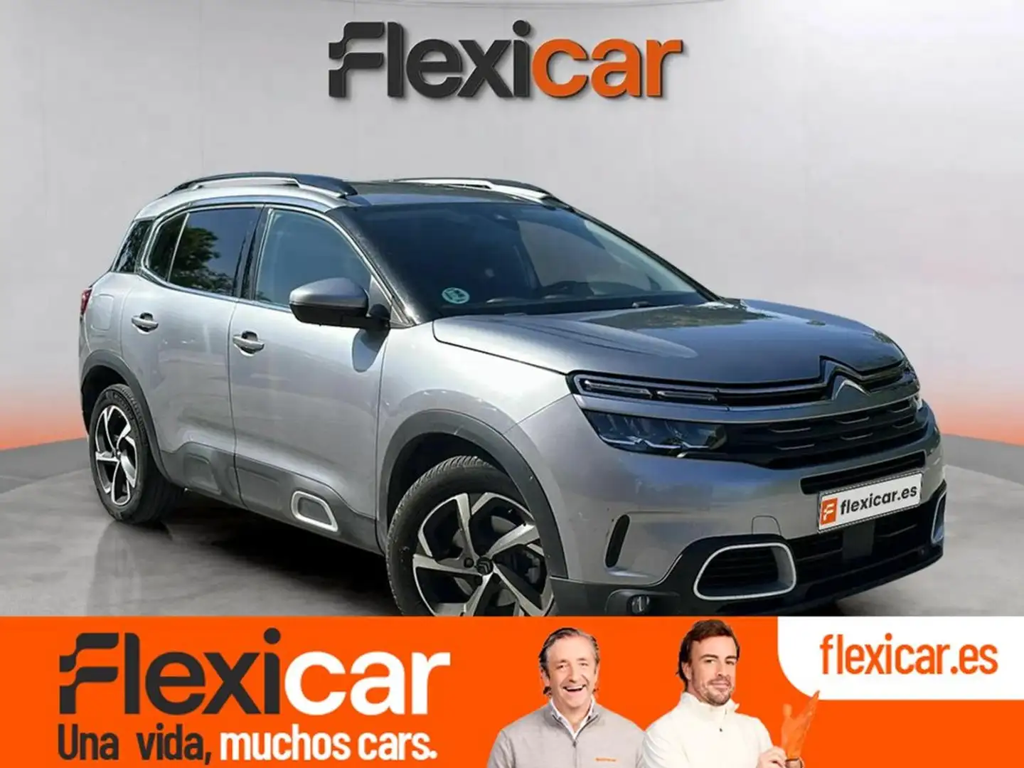 Citroen C5 Aircross BlueHdi 96kW (130CV) S&S Feel Gris - 1
