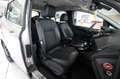 Ford B-Max Titanium 1.6 Automatik AHK Tempomat SHZ Gri - thumbnail 11