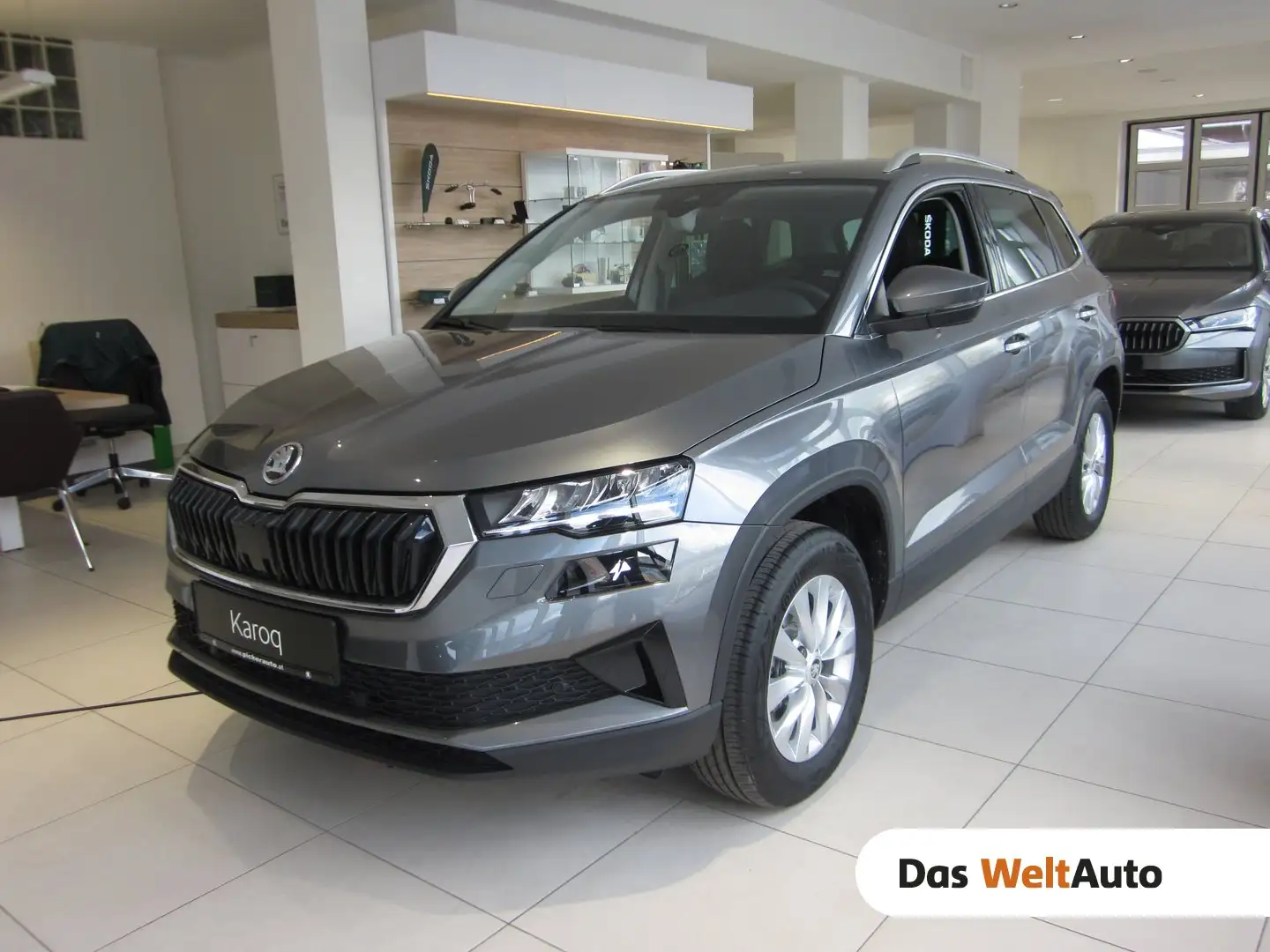 Skoda Karoq 4x4 Selection TDI DSG Grau - 1
