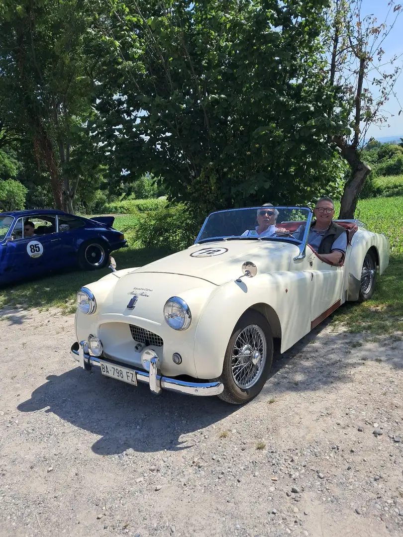Triumph TR2 - 1