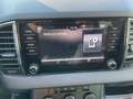 Skoda Karoq Ambition/DSG/Android Auto/Apple Carplay Grau - thumbnail 23