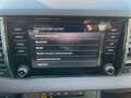Skoda Karoq Ambition/DSG/Android Auto/Apple Carplay Grau - thumbnail 25