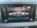 Skoda Karoq Ambition/DSG/Android Auto/Apple Carplay Grau - thumbnail 24