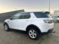 Land Rover Discovery Sport TD4 150 HSE Luxury Wit - thumbnail 7