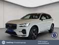 Volvo XC60 XC60 T8 AWD Recharge Geartronic Inscription Expres Weiß - thumbnail 1