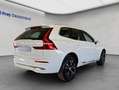 Volvo XC60 XC60 T8 AWD Recharge Geartronic Inscription Expres Weiß - thumbnail 3