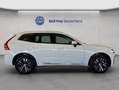 Volvo XC60 XC60 T8 AWD Recharge Geartronic Inscription Expres Weiß - thumbnail 5