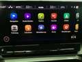 CUPRA Formentor 2.0 TSI DSG VZ LED beats eKLAPPE Grau - thumbnail 12