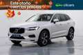 Volvo XC60 D3 Momentum Blanco - thumbnail 1