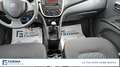 Suzuki Celerio 1.0 dualjet Cool s&s Bianco - thumbnail 11