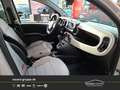 Fiat Panda 4x40° 0.9 TwinAir  **Allrad** Beige - thumbnail 9