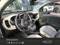 Fiat Panda 4x40° 0.9 TwinAir  **Allrad** Beige - thumbnail 11