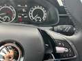 Skoda Kamiq Tour 1.0 TSI  AHK schwenkbar LED LM Weiß - thumbnail 20