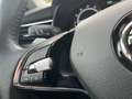 Skoda Kamiq Tour 1.0 TSI  AHK schwenkbar LED LM Wit - thumbnail 19
