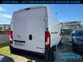 Fiat Ducato Opel Movano Furgone 35 2.2 BlueHDi L2H2 PM-TM Bianco - thumbnail 4