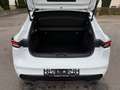 Renault Clio Evolution TCe115 EDC Automatik Weiß - thumbnail 7