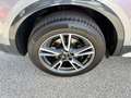 Audi Q5 40 TDI quattro S-line ACC Massage 1. Besitz Grau - thumbnail 13