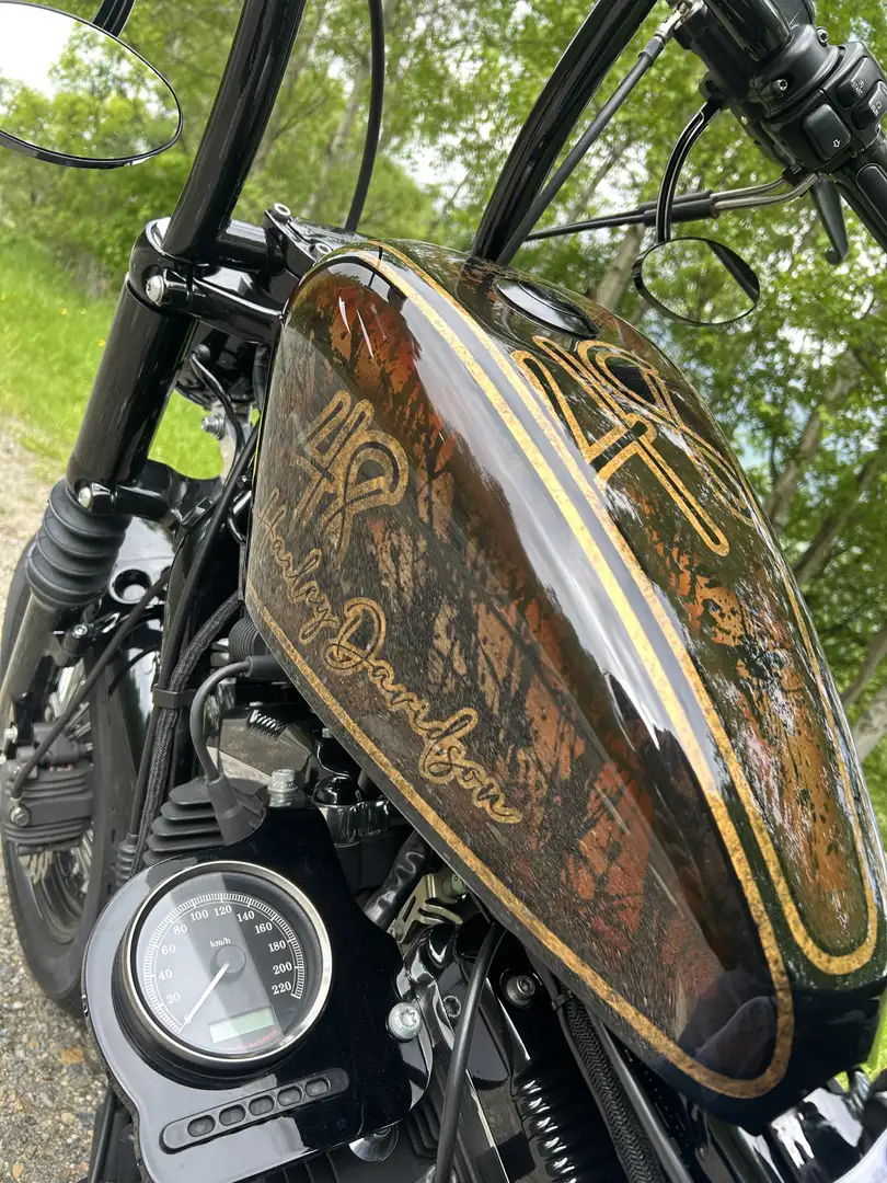 Harley-Davidson Sportster 1200 Forty Eight - 2
