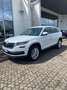 Skoda Kodiaq 2.0 TDI SCR 4x4 DSG Executive Bianco - thumbnail 3
