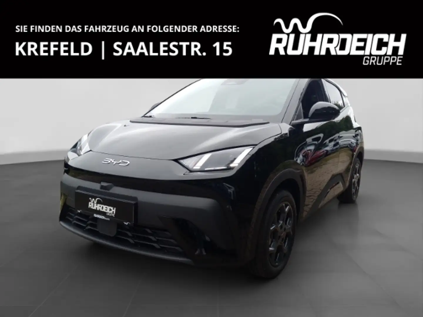 BYD Dolphin Navi Leder Digitales Cockpit 360 Kamera LED Apple Nero - 1