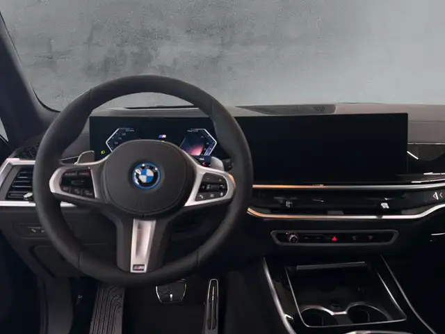BMW X5 view 10