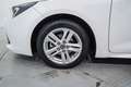 Toyota Corolla 125H Business Blanco - thumbnail 11
